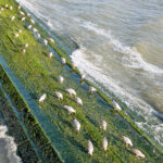 blauwasser_belgien_hafen_nieuwpoort_strand