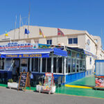 blauwasser_marina_ankerplatz_kanaren_gran_canaria_puerto_de_arguineguin_cofradia