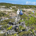 blauwasser_marina_bahamas_exumas_warderick_wells_trampelpfad