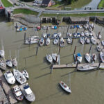 blauwasser_marina_elbe_glueckstadt_vogel