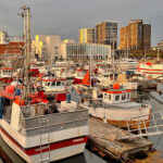 blauwasser_marina_norwegen_lofoten_bodoe_zentrum