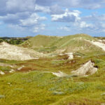 blauwasser_nordsee_ostfriesische_inseln_norderney_duenen