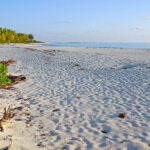 blauwasser_revierinformation_seychellen_bird_island