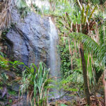 blauwasser_revierinformation_seychellen_wasserfall