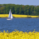 blauwasser_schlei_revierinformation_segeln_header